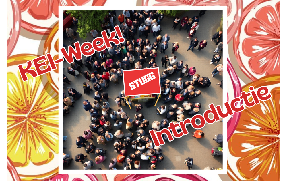 Help the IntroCie out at KEI-week and ESN!